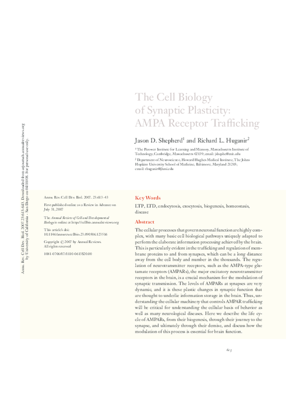 (PDF) The Cell Biology of Synaptic Plasticity: AMPA Receptor Trafficking