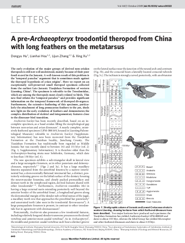 (PDF) A preArchaeopteryx troodontid theropod from China with long