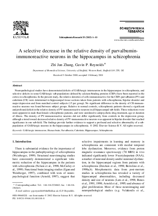 Hippocampus studies picture