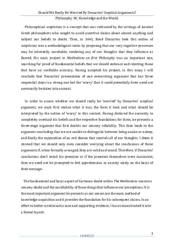 Descartes skepticism essay image