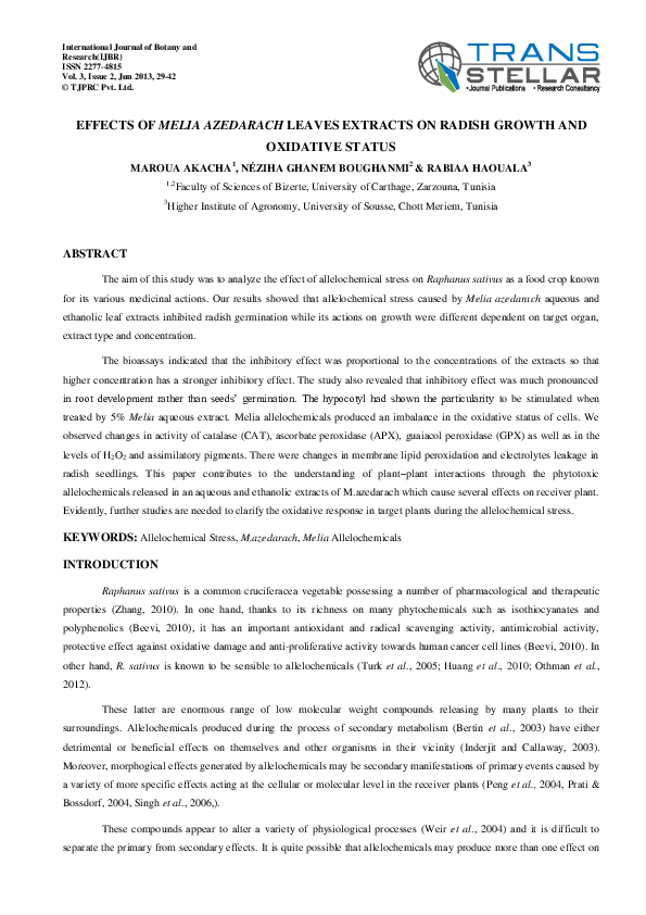 Daikon seed extract picture