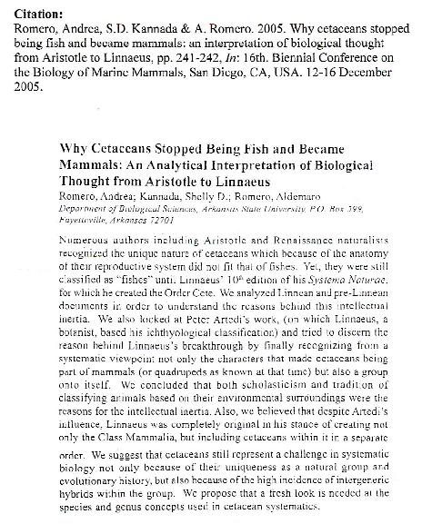 (PDF) Past and present distribution of marine mammals in the Caribbean ...