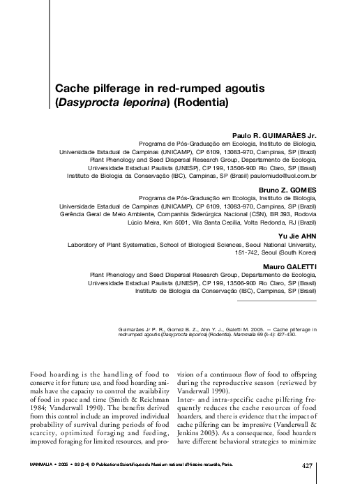 Pilferage synonym image