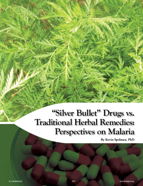 (PDF) “Silver Bullet” Drugs vs. Traditional Herbal Remedies ...