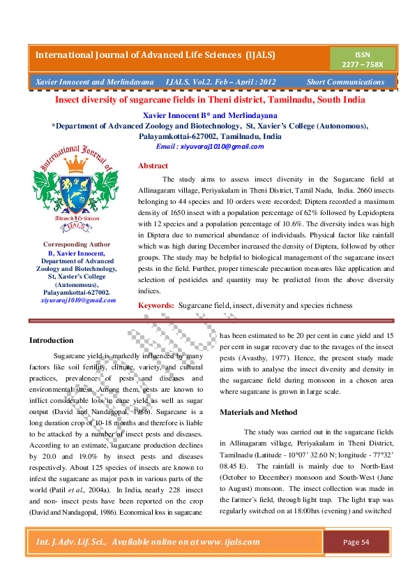 Research paper on insects picture