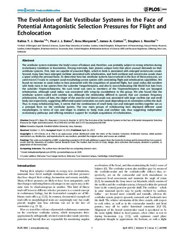 (PDF) The evolution of bat vestibular systems in the face of ...