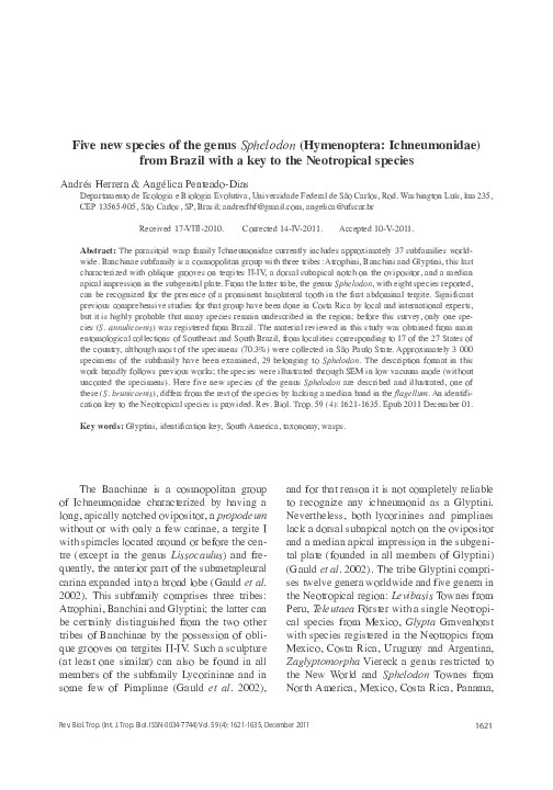 (PDF) Five new species of the genus Sphelodon (Hymenoptera ...