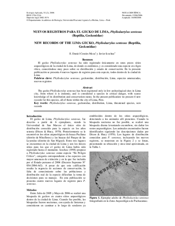 (PDF) New records of the Lima gecko, Phyllodactylus sentosus. Nuevos ...