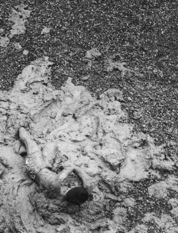 Birinchi sinf oquvchisi bilan jinsiy aloqa