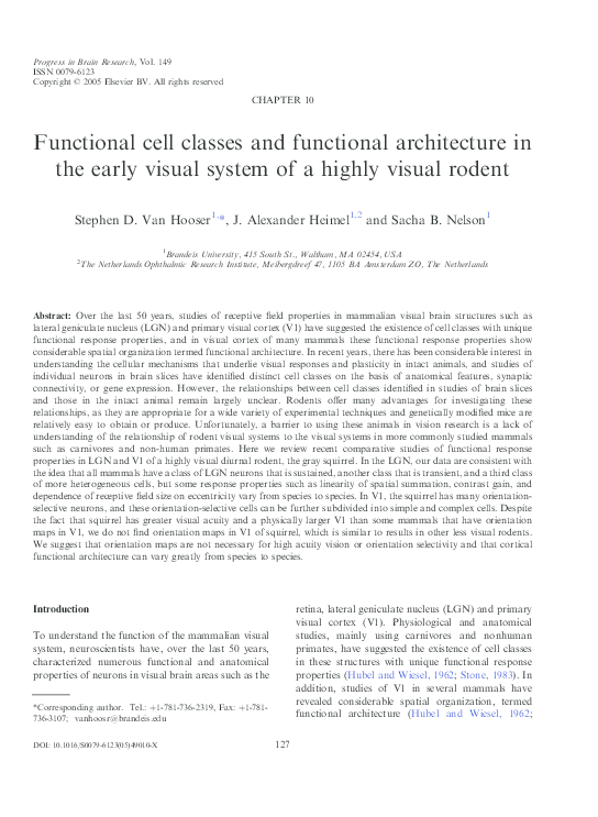 (PDF) Functional cell classes and functional architecture in the early ...
