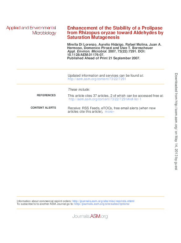(PDF) Enhancement of the Stability of a Prolipase from Rhizopus oryzae ...