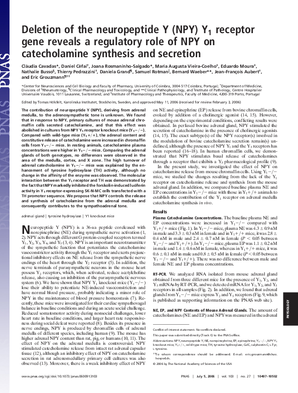 Deletion of the neuropeptide Y (NPY) Y1 receptor gene reveals a ...