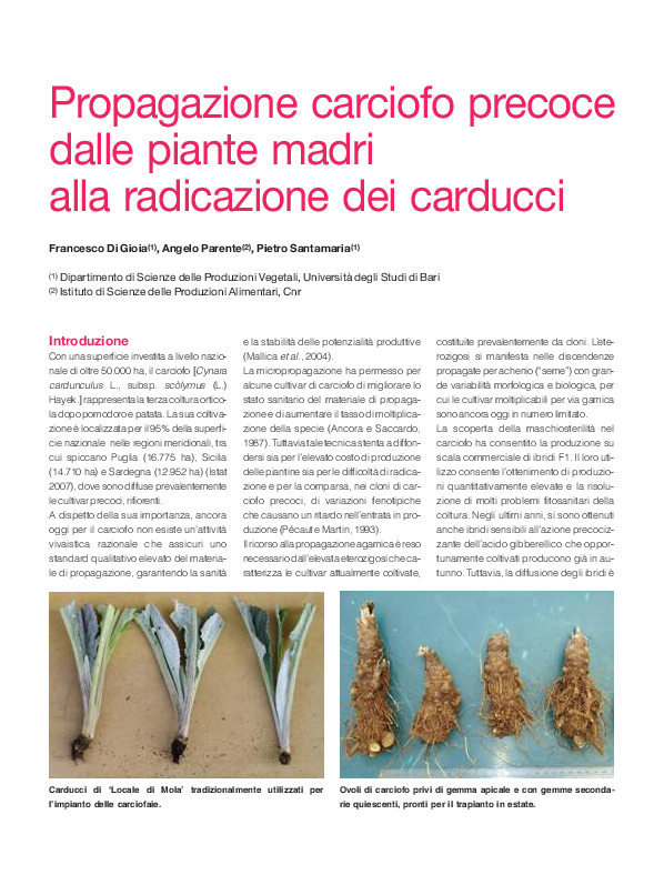 Gel Radicante Clonex Root 50ml - Attivatore Radici Per Talee | Naturale E Ad Alta Efficacia - Foto 7