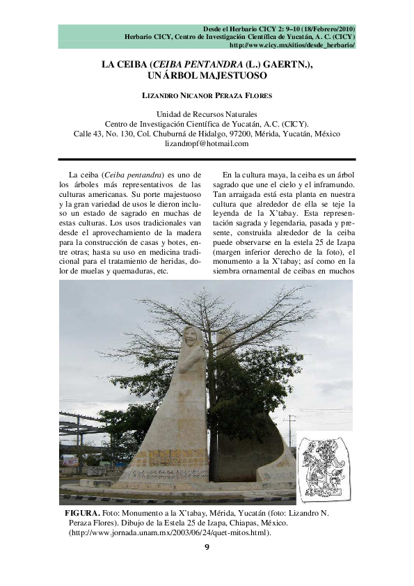 (PDF) La ceiba (Ceiba pentandra (L.) Gaertn.), un árbol majestuoso