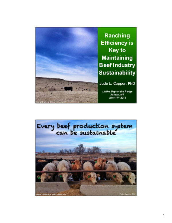 (PDF) Ranching Efficiency is Key to Maintaining Beef Industry ...