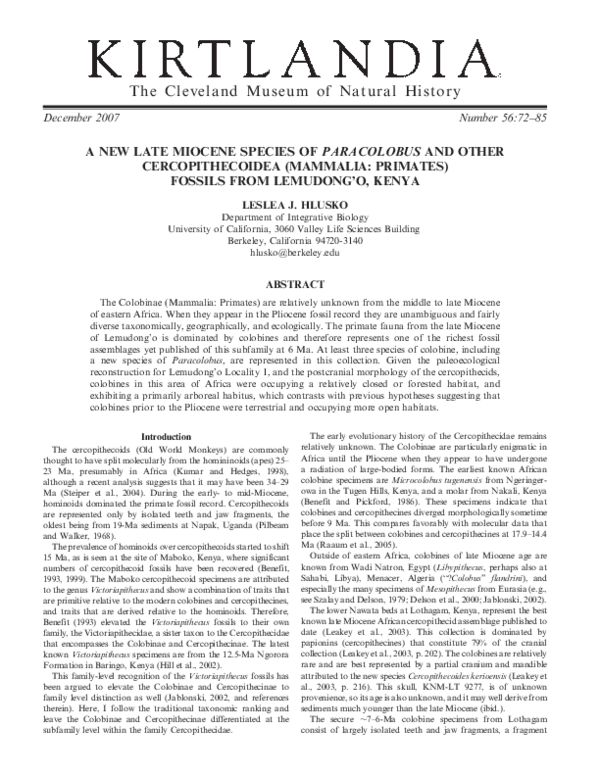 Kenya africa picture