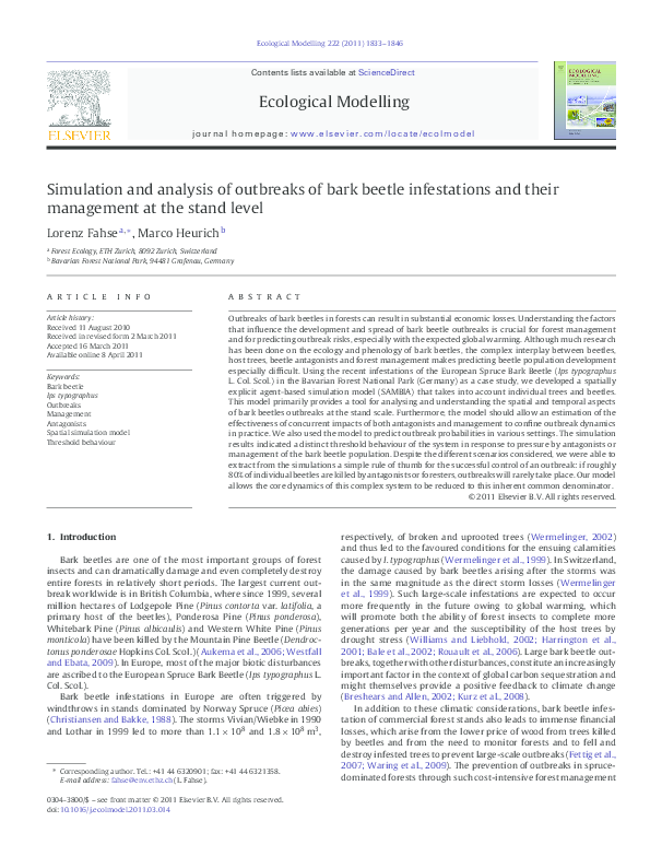 Bark beetle essay picture