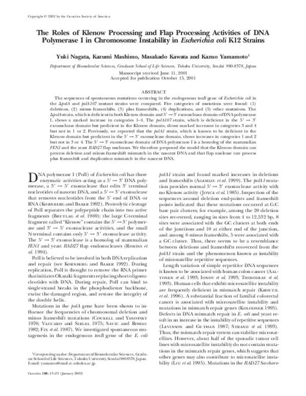 (PDF) The Roles of Klenow Processing and Flap Processing Activities of