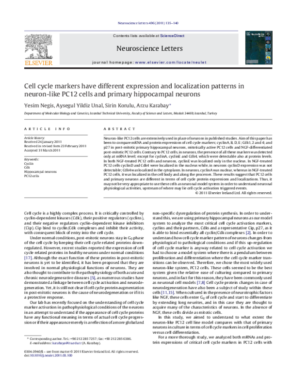 (PDF) Cell cycle markers have different expression and localization ...