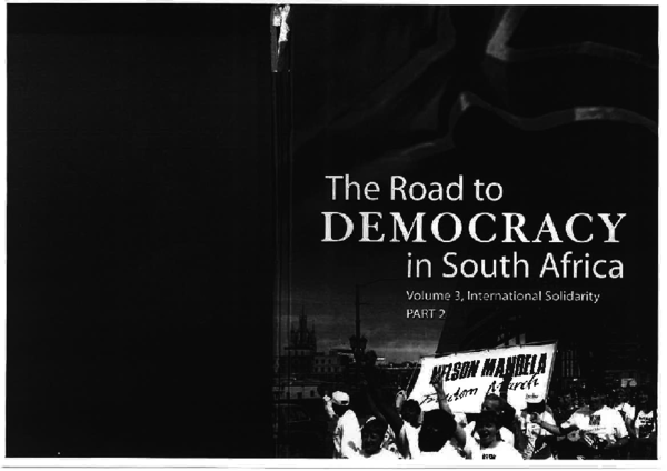 Irish anti apartheid movement essay image