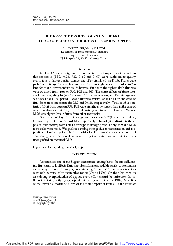 Synthesis essay example image