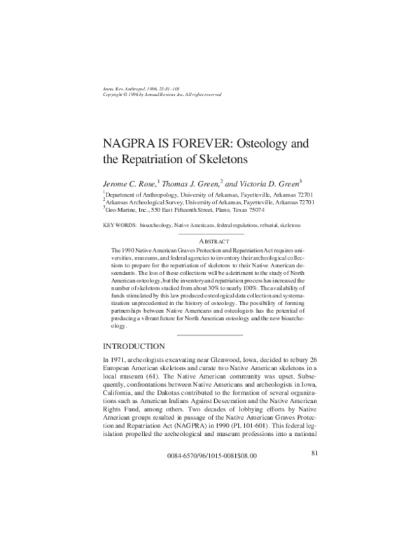 Essays on nagpra 05 image