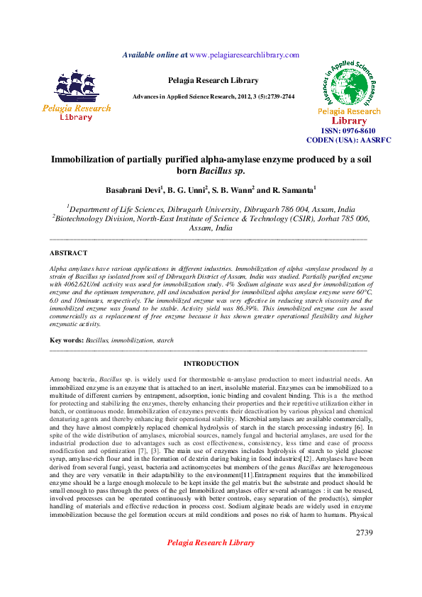 Alpha amylase production image