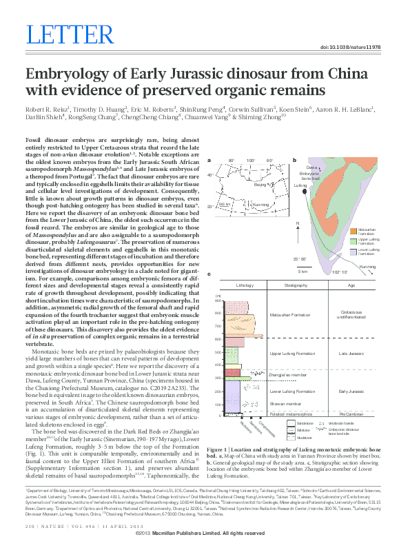 (PDF) Embryology of Early Jurassic dinosaur from China with evidence of ...