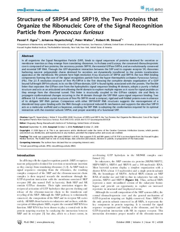 (PDF) Structures of SRP54 and SRP19, the Two Proteins that Organize the ...
