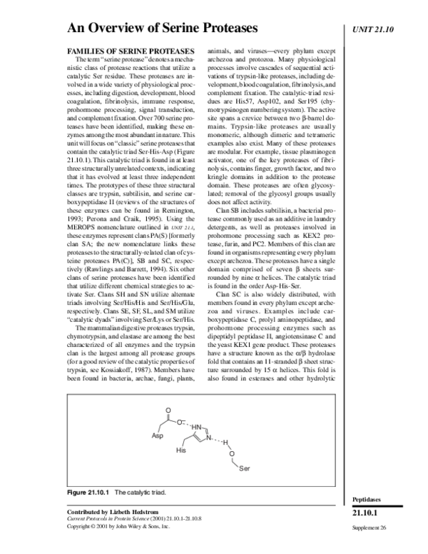 (PDF) An Overview of Serine Proteases