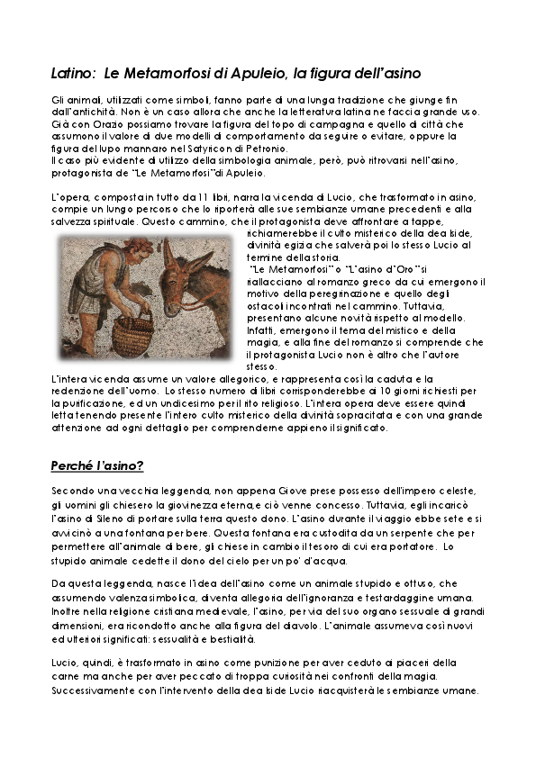 (DOC) Latino: Le Metamorfosi di Apuleio, la figura dell’asino