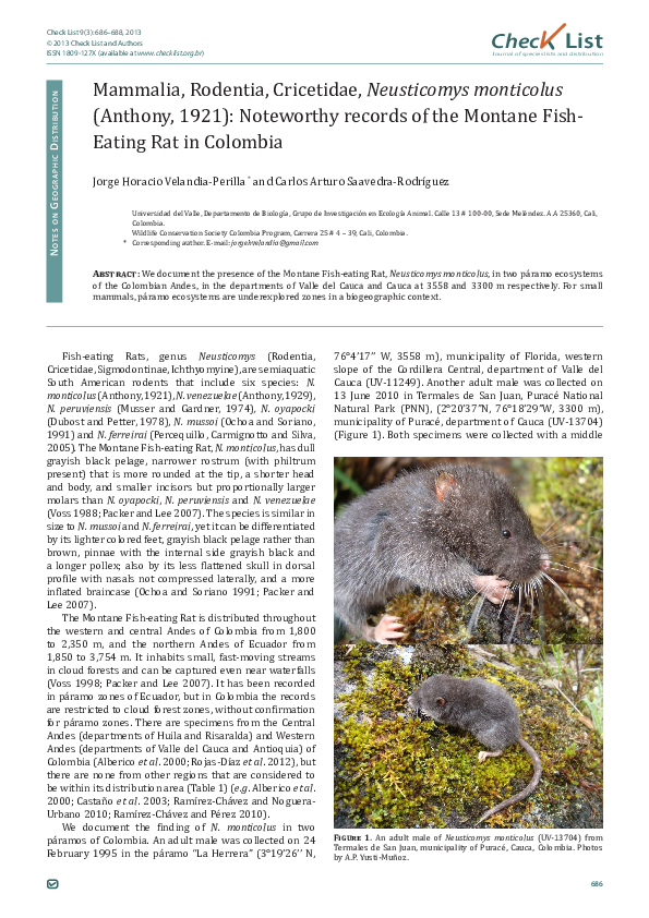 (PDF) Mammalia, Rodentia, Cricetidae, Neusticomys monticolus (Anthony ...