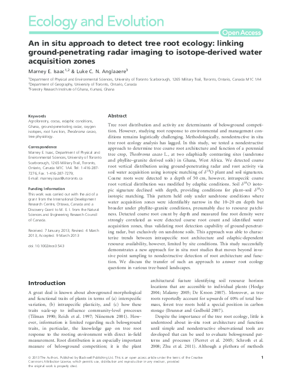 (PDF) An in situ approach to detect tree root ecology: linking ground ...