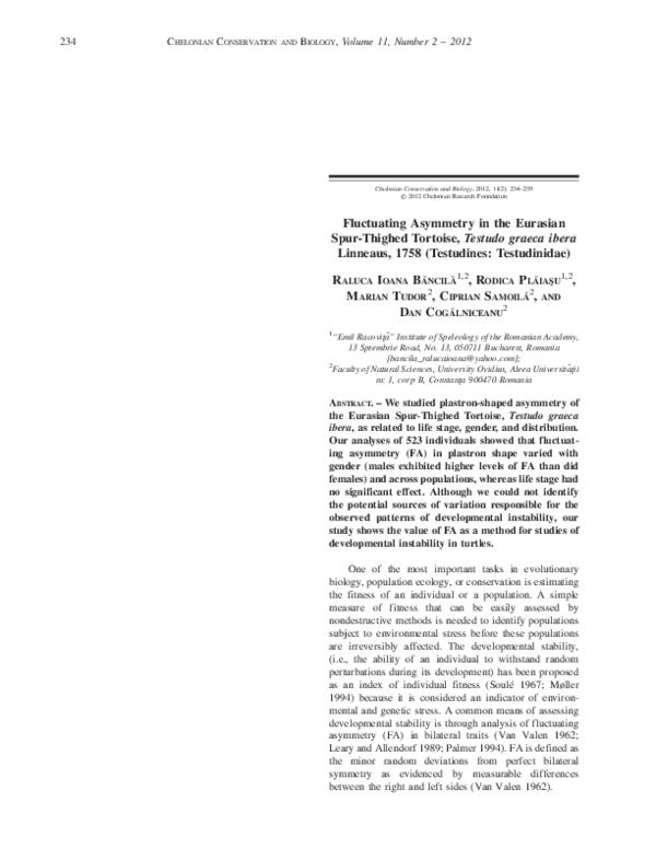 Why are sea turtles endangered image