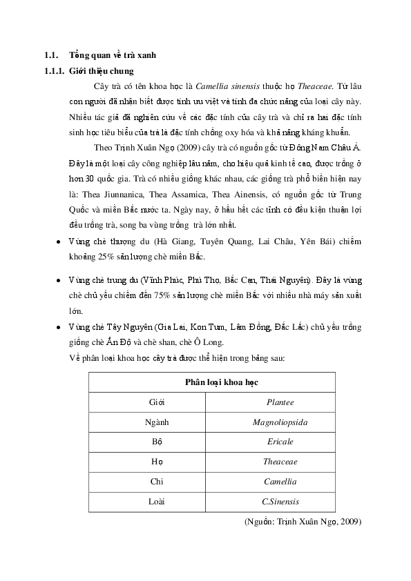 Quy che essay examples 07 image