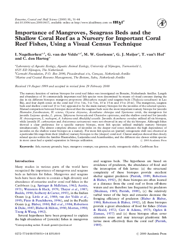 Seagrass essays image