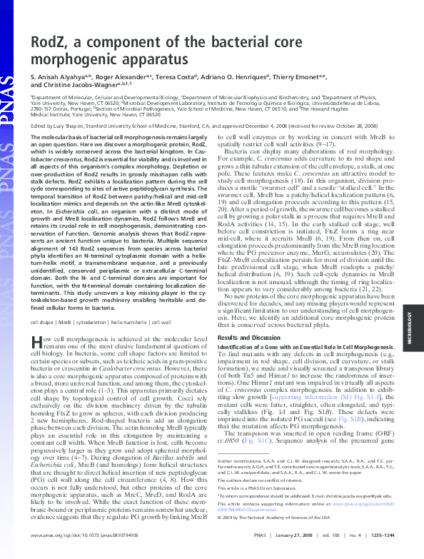 (PDF) From the Cover: RodZ, a component of the bacterial core ...
