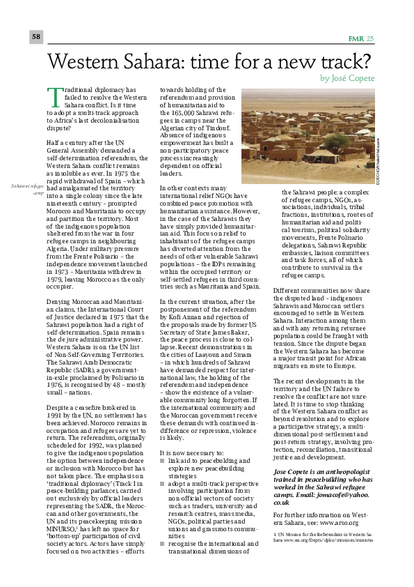 Western sahara flag picture