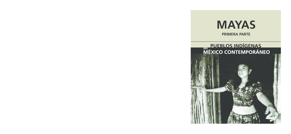 TECNICA　-DRAGON 100- PDF) Mayas
