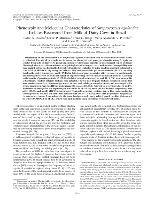 (PDF) Phenotypic and Molecular Characteristics of Streptococcus ...