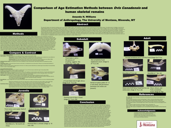 (PPT) Poster Presentation: Comparison of Age Estimation Methods between ...