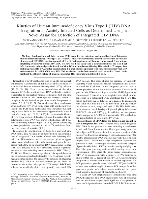 (PDF) Kinetics of Human Immunodeficiency Virus Type 1 (HIV) DNA ...