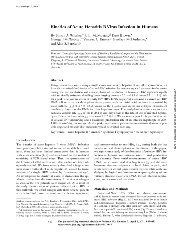 (PDF) Kinetics of Acute Hepatitis B Virus Infection in Humans