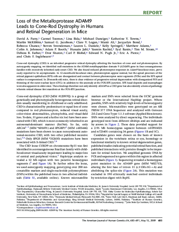 (PDF) Loss of the Metalloprotease ADAM9 Leads to Cone-Rod Dystrophy in ...