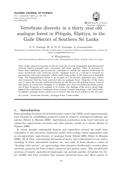 Animal diversity essay image