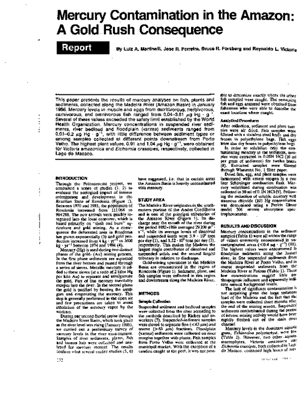 (PDF) Mercury contamination in the Amazon: A gold rush consequence