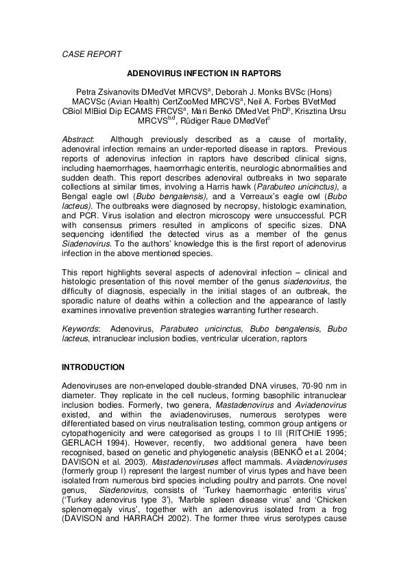 Human adenovirus picture