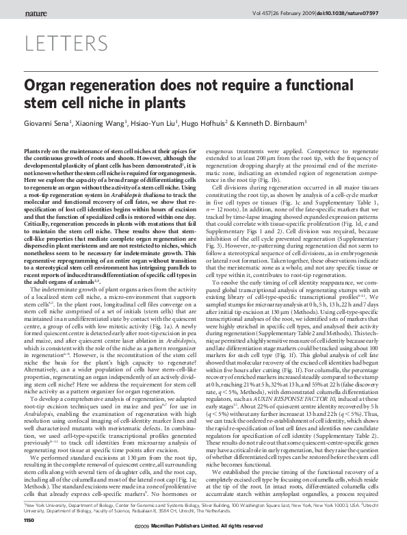 (PDF) Organ regeneration does not require a functional stem cell niche ...