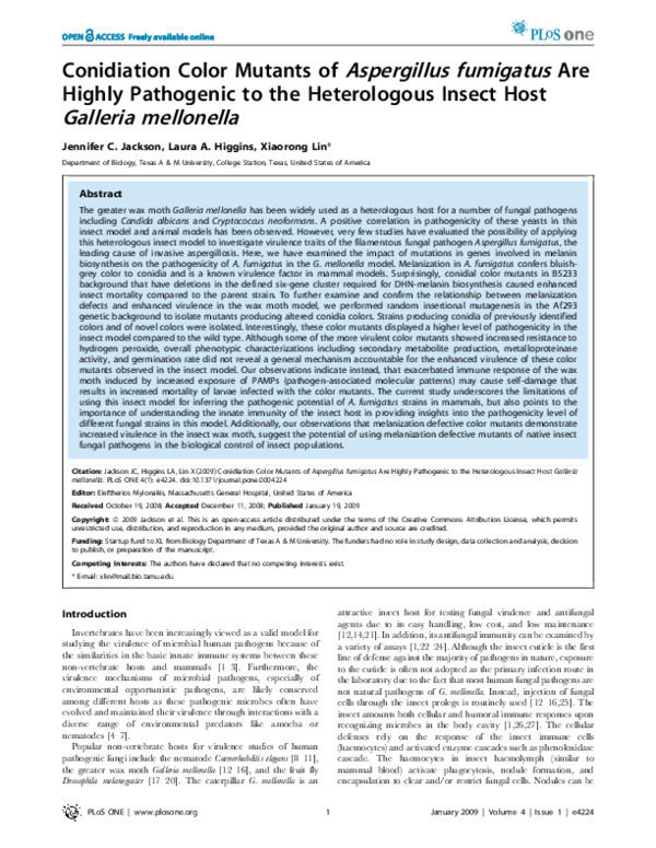 (PDF) Conidiation Color Mutants of Aspergillus fumigatus Are Highly ...