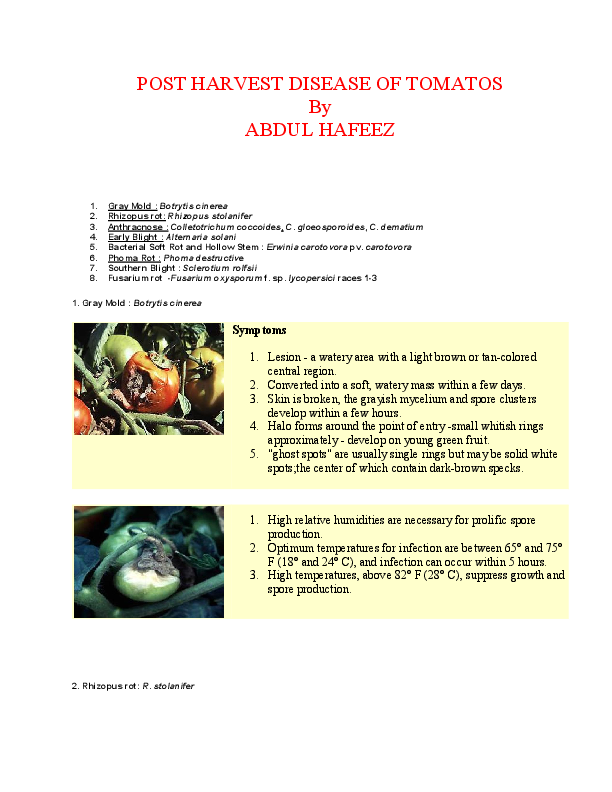 Post Harvest Diseases of tomatoes Abdul Hafeez Academia.edu